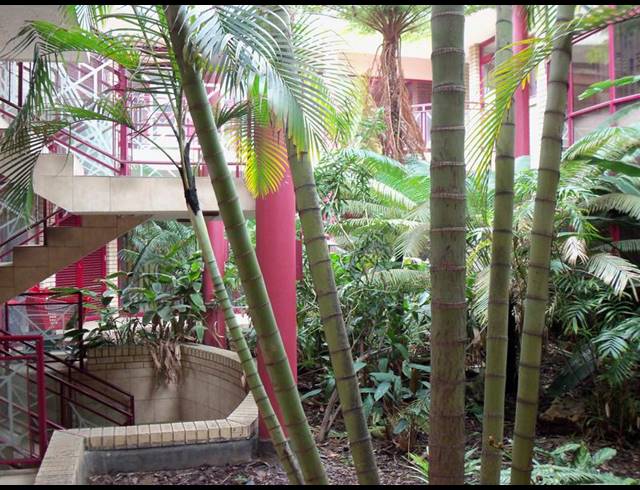 OFFICE FOR SALE IN RICHARDS BAY CENTRAL